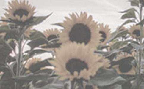 ̫�(y��ng)����������700��