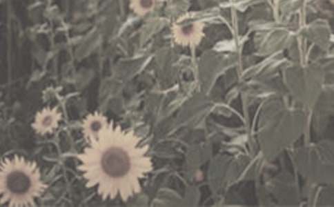 ���꼉����̫�(y��ng)��