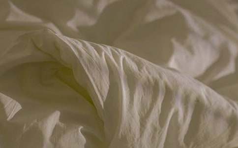 睡前童話(huà)的故事:白毯子小狗