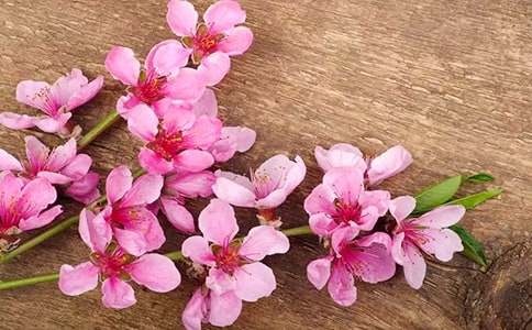 �����һ����������£�ͨ��39ƪ��