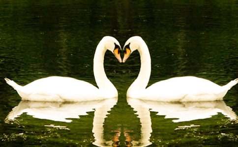 ����ֻ���Z����ͯԒ(hu��)����