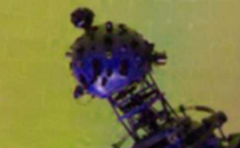 我心中的天文館作文