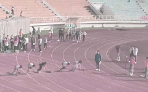 田徑比賽小學(xué)生作文