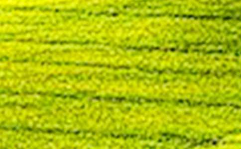  (t��ng)�f(shu��)Ӗ����������Ұ�̌W(xu��)�OӋ