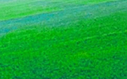 ��Ұ���L(f��ng)��������