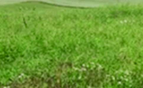 ������Ұ�L(f��ng)����