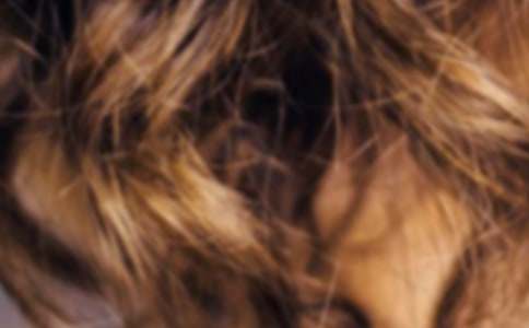 �ϰֵ��^�l(f��)����2ƪ