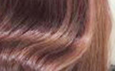 我拼命發(fā)芽你卻白了頭發(fā)初三作文