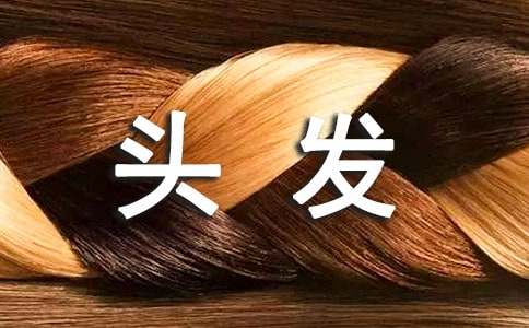 �ϰֵ��^�l(f��)С�W(xu��)����