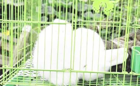 С������̫�(y��ng)�Ľ̰�