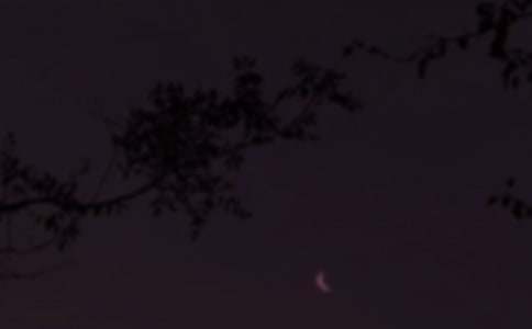 �����ĸ�������