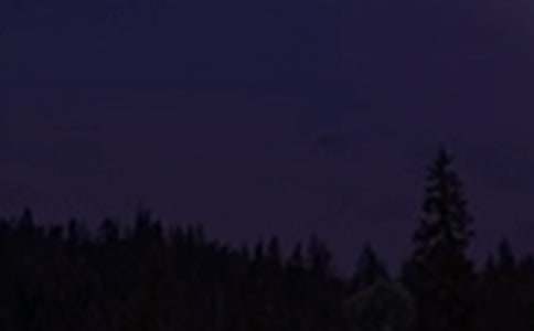 �P(gu��n)�����������Z(y��)�40��