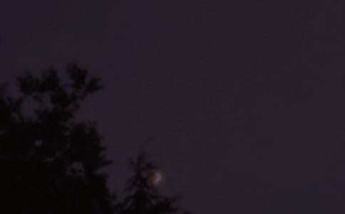 唯美晚安寄語(yǔ)大全(精選135句)