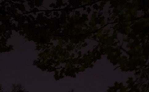 ��ܰ�������Z(y��)��ȫ�����x190�䣩