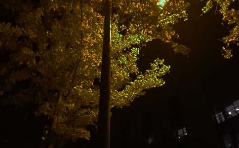 熱門(mén)勵志晚安語(yǔ)錄145句