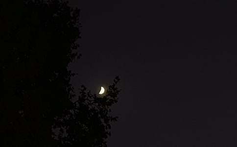 ��(ji��n)�������õ�������(w��n)���Z(y��)�R��65�l