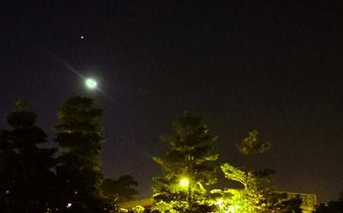 2025�곣�Ã�(y��u)�����������Z(y��)�Z(y��)�300��