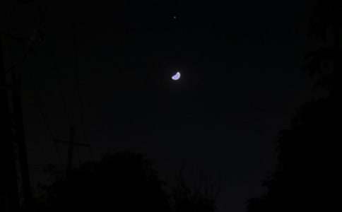 與蟲(chóng)兒道聲“晚安”_850字