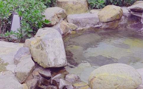 ���P(gu��n)��Ȫ����500����ƪ