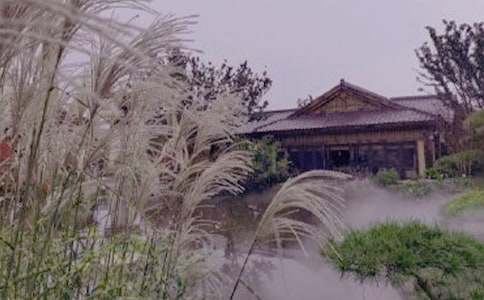 ��ɽ��Ȫ����