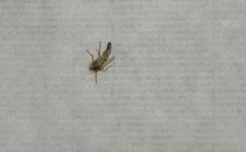 ����Ȥ�����ĺϼ�7ƪ