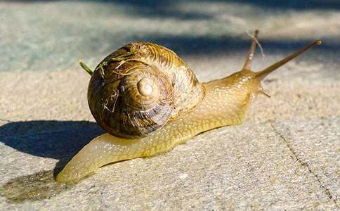 �茑(xi��)�^(gu��n)��΁ţ��������ƪ