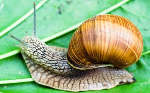 �а�С΁ţ�̰��OӋ