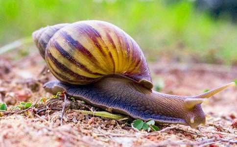 С�����g(sh��)�̰����L��(hu��)С΁ţ_С��ˇ�g(sh��)�̰�