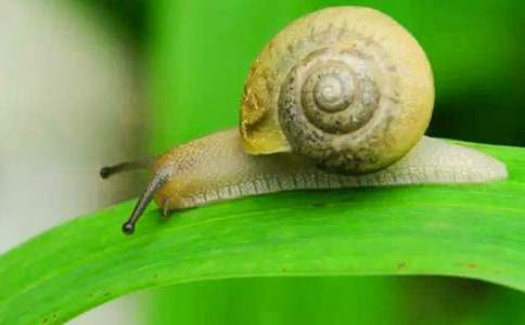 �^(gu��n)��΁ţ���~������