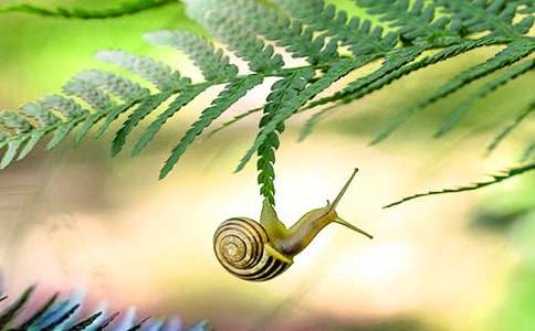 �茑(xi��)�L(f��ng)�����΁ţ�����ģ����x20ƪ��