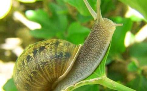 �^����΁ţ������(y��u)������