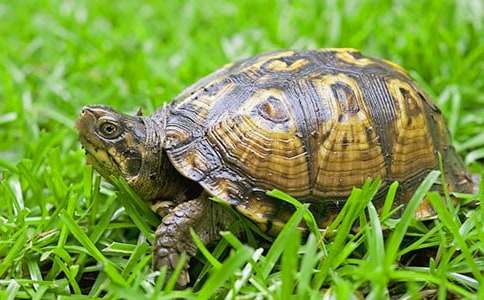 ��С�������������а��w���̰������x7ƪ��