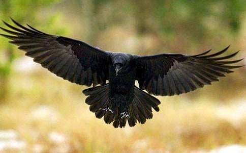 ���f��ˮ�������ķ���