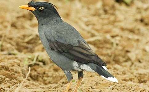 �����f��ˮ���̲����⼰�̰��OӋ