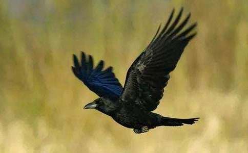 ���f��ˮ���ķ���