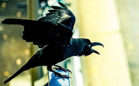 �P(gu��n)�ڞ��f��ˮ����