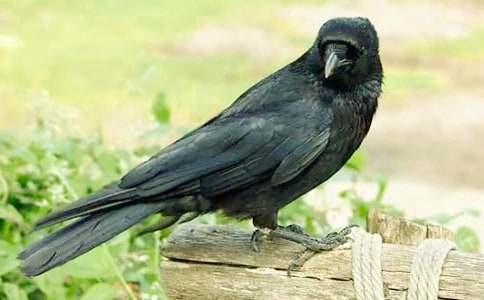 ��С���f��(��i)�������̰��OӋ�c���루ͨ��21ƪ��