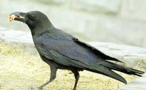 ���f��ˮ��С�W(xu��)�̰�