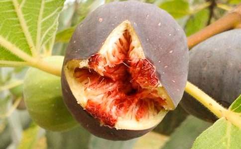 �����ͯԒ(hu��)���Բ�ā�o(w��)�����Ĺ�����