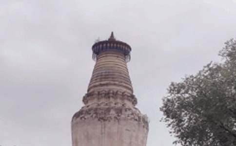 ���_ɽ֮������800��