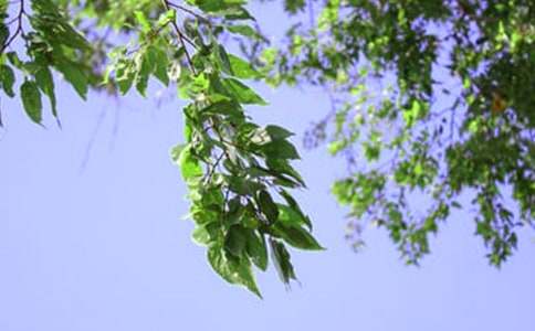 ů���簲ף���Z(y��)��ȫ�����x80�䣩