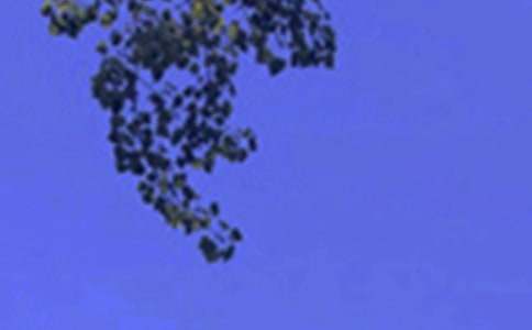 ����ϵ�簲���Z(y��)QQ42��