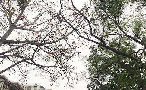 �簲��־�Z(y��)�