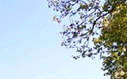 經(jīng)典暖心午安感言匯總70句