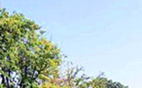 ��־�簲�Z(y��)�30�侫�x