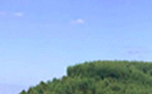 ����ϵ�簲���Z(y��)48�l