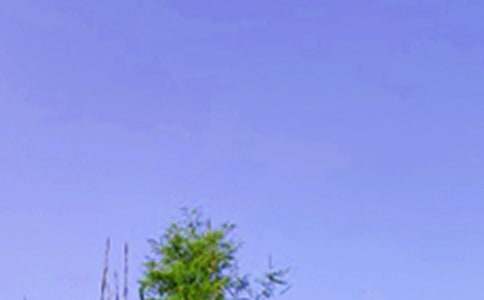 勵志午安語(yǔ)錄30條