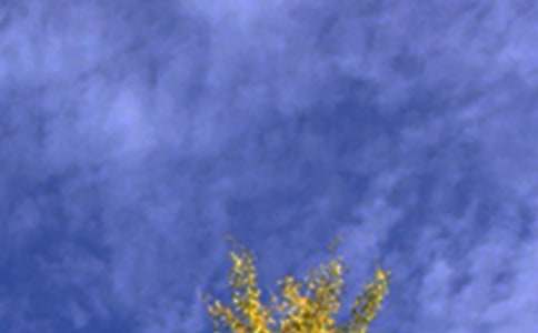 ���P(gu��n)���������簲�Z(y��)�