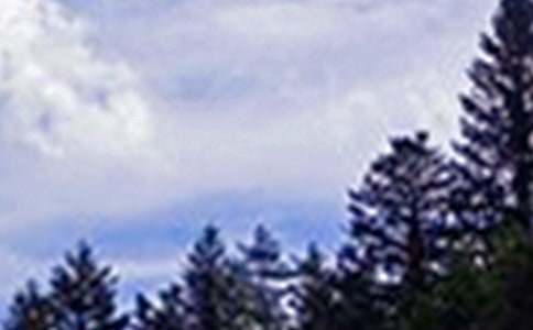 ů���簲����40��