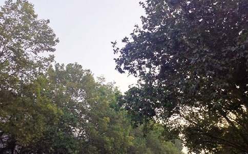 ��ܰ���簲���Z(y��)���źϼ�89��